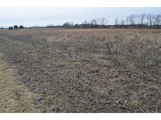 24 Grassland Acres - 20+/- Acres Wooded & 24+/- Acres Grassland, LAND AUCTION
